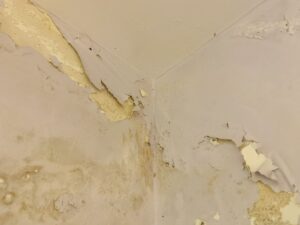 Dampness in walls