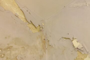 Dampness in walls