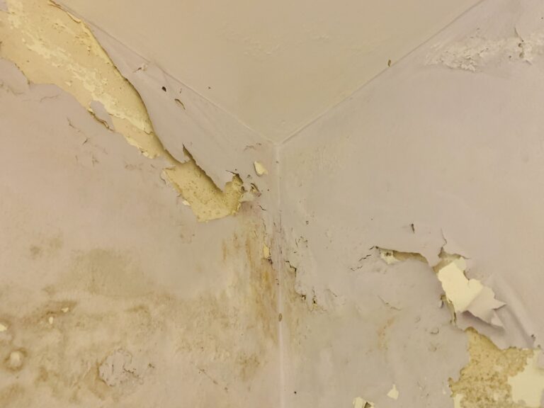 Dampness in walls